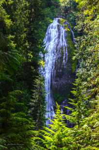 Proxy Falls-4006.jpg